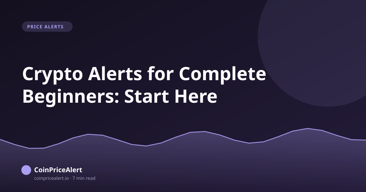 Crypto Alerts for Complete Beginners: Start Here