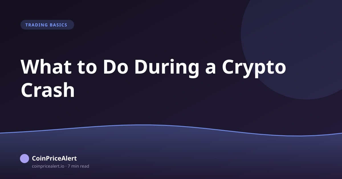 What to Do During a Crypto Crash