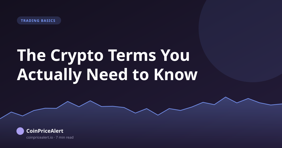 The Crypto Terms You Actually Need to Know