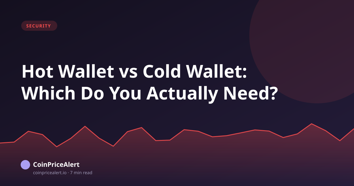 Hot Wallet vs Cold Wallet: Which Do You Actually Need?