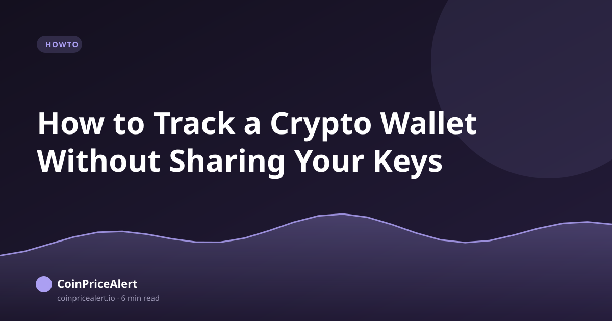 How to Track a Crypto Wallet Without Sharing Your Keys