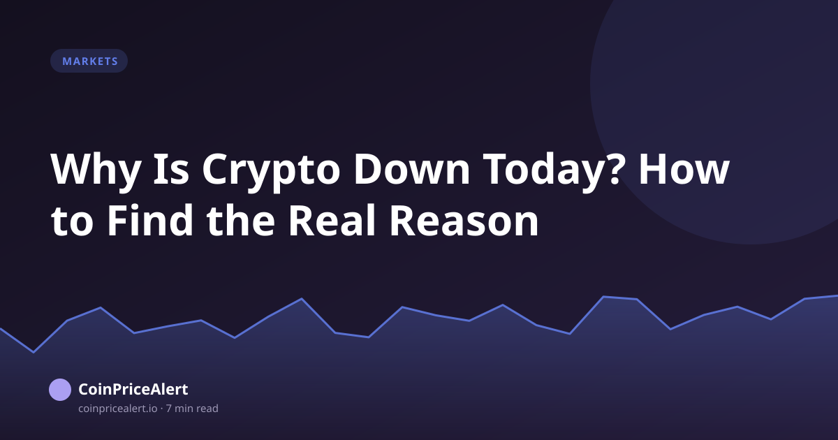 Why Is Crypto Down Today? How to Find the Real Reason
